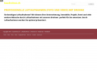 baudrohne.ch Webseite Vorschau