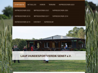 hundesportverein-senst.de Webseite Vorschau