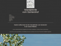 islandpferde-vom-guentershof.de Webseite Vorschau