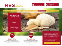 neg.co.at Webseite Vorschau