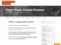 peter-wust-schule.de Webseite Vorschau