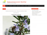 nvittenthal.ch Webseite Vorschau