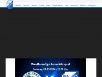 rsv-meinerzhagen.com Webseite Vorschau