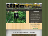 tilltales.com Webseite Vorschau