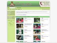 vendita-cuccioli-caniegatti.com Webseite Vorschau