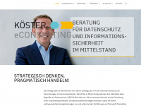 koester-econsulting.com Webseite Vorschau