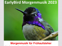 earlybird-morgenmusik.ch Webseite Vorschau