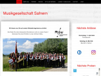 mgsafnern.ch Webseite Vorschau