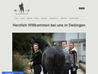 kk-pferdebetrieb.com Webseite Vorschau