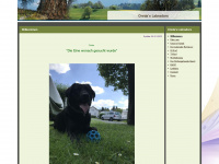 onidas-labradors.eu Webseite Vorschau