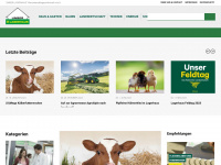 lagerhausblog.at Webseite Vorschau