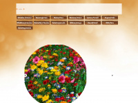 bodensee-blütenträume.ch Webseite Vorschau