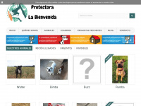 protectoralabienvenida.es Webseite Vorschau