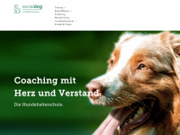 Socialdog-rottweil.de