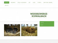 widderzwerge-schwalbach.de Webseite Vorschau