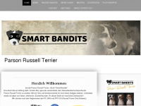 smartbandits.ch Webseite Vorschau