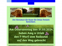 hovawart-rodgau.de Webseite Vorschau