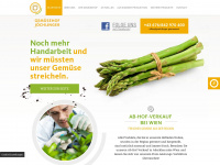 joechlinger-gemuese.at Webseite Vorschau