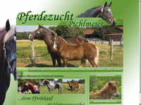 pferdezucht-pichlmeier.de