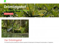 droemlingshof.de Webseite Vorschau