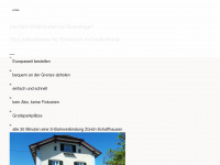 grenzlager.ch Webseite Vorschau
