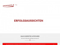 fahrschule-weinholz.com Webseite Vorschau