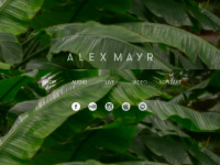 alex-mayr.com Webseite Vorschau