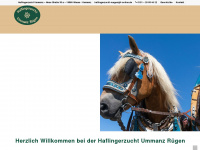 haflingerzucht-ruegen.de Webseite Vorschau