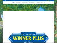 winnerplus.eu Webseite Vorschau