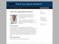 prof-scherberich.de Webseite Vorschau