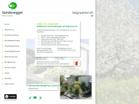 begruener.ch Webseite Vorschau
