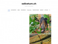 salicetum.ch Webseite Vorschau