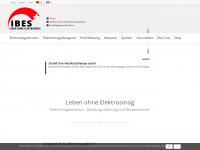 ibes.ch Webseite Vorschau