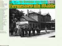 hermsdorf-regional.de Webseite Vorschau