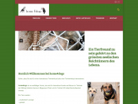 home4dogs.ch Webseite Vorschau