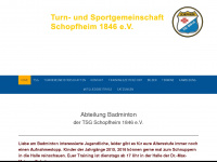 badminton-tsgschopfheim.de Webseite Vorschau
