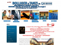 bolliger.org Webseite Vorschau