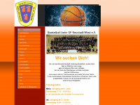 sfn-basketball.de Webseite Vorschau