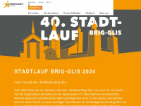 stadtlauf.info Webseite Vorschau