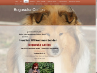 begasuka-collies.de Webseite Vorschau