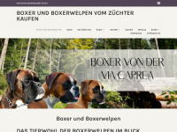 deutsche-boxerwelpen.com Webseite Vorschau