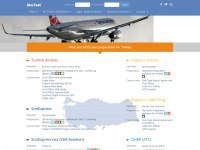 skytest.com.tr Webseite Vorschau