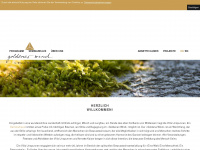 goldenerwind.ch Webseite Vorschau