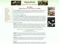mykoweb.com Webseite Vorschau