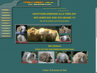 teddywidder-hochtiedswald.de Webseite Vorschau