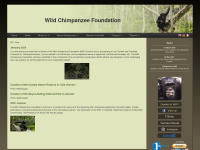 wildchimps.org