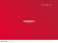 strawberry-booking.de Webseite Vorschau