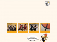 basketball-vfl-waiblingen.de Webseite Vorschau