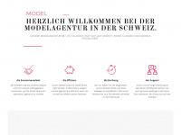 hero-model.ch Webseite Vorschau