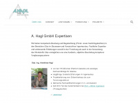 expert-hagl.de Webseite Vorschau